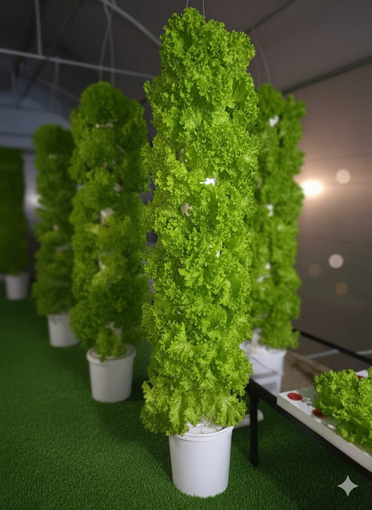 Meridian Tower Hydroponic System, 30 Holes, Vertical Garden Tower,