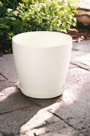 وعاء نباتات بلاستيك بتصميم مزخرف - مثالي للنباتات الداخلية، الزهور، الصبار، والنباتات العصارية المنزلية - عبوة من قطعة واحدة