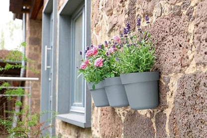 17cm wall-mounted, planter, for vertical flower, garden, or living, wall, plastic, kitchen herb