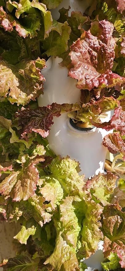 Meridian Tower Hydroponic System, 30 Holes, Vertical Garden Tower,