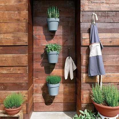 17cm wall-mounted, planter, for vertical flower, garden, or living, wall, plastic, kitchen herb