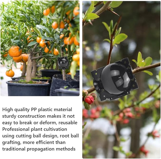 Baby Propagation Rooting Device - Multi-Purpose Propagation Spoon - Accelerates, High Saccharin Carbonate, Mountable Design for Nursery, Fruit Trees, and Herbs5pcs