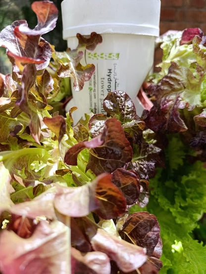 Vertical, tower, for hydroponic garden systems,vegetable, plant tower,12 seedlings