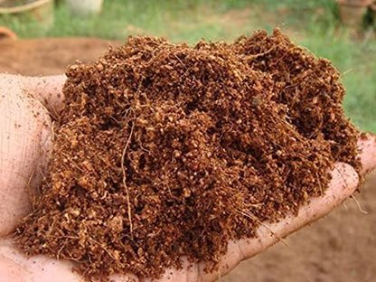 Peat moss soil, ready-to-plant soil, natural peat moss, agricultural substrate, Dutch import