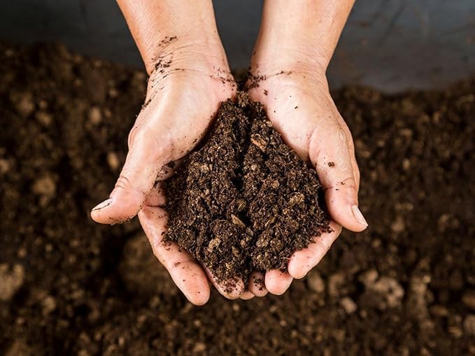 Peat moss soil, ready-to-plant soil, natural peat moss, agricultural substrate, Dutch import