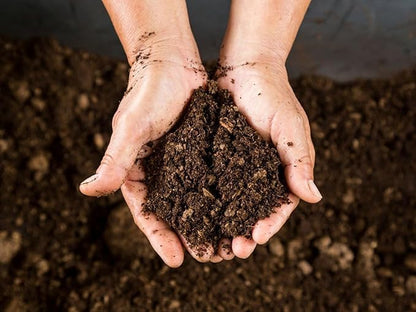 Peat moss soil, ready-to-plant soil, natural peat moss, agricultural substrate, Dutch import