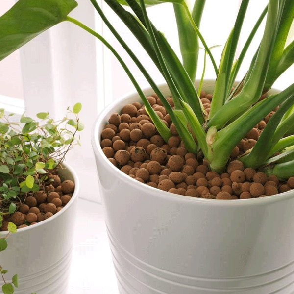 BGN Hydroponic Clay Gravel - 3k- Organic Expanded Clay Balls for Plants - pH Neutral for Plants - Hydroponic and Fish Farming Supplies in a Resealable Storage Bag