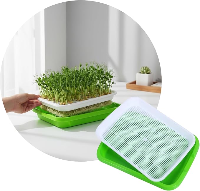 Hydroponic Growing Tray (2-Pack) | Small Plant Growing Tray | Seedling Tray for Wheatgrass and Sprouts | Plastic Tray for Home, Office, and Garden