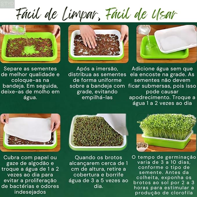 Hydroponic Growing Tray (2-Pack) | Small Plant Growing Tray | Seedling Tray for Wheatgrass and Sprouts | Plastic Tray for Home, Office, and Garden