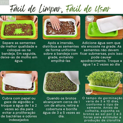 Hydroponic Growing Tray (2-Pack) | Small Plant Growing Tray | Seedling Tray for Wheatgrass and Sprouts | Plastic Tray for Home, Office, and Garden