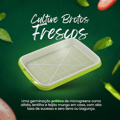 Hydroponic Growing Tray (2-Pack) | Small Plant Growing Tray | Seedling Tray for Wheatgrass and Sprouts | Plastic Tray for Home, Office, and Garden