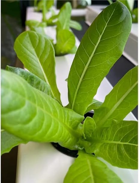 6-Pack Hydroponic, System – NFT,Pipes for Indoor and Outdoor Hydroponic Gardening, Eco-Friendly,